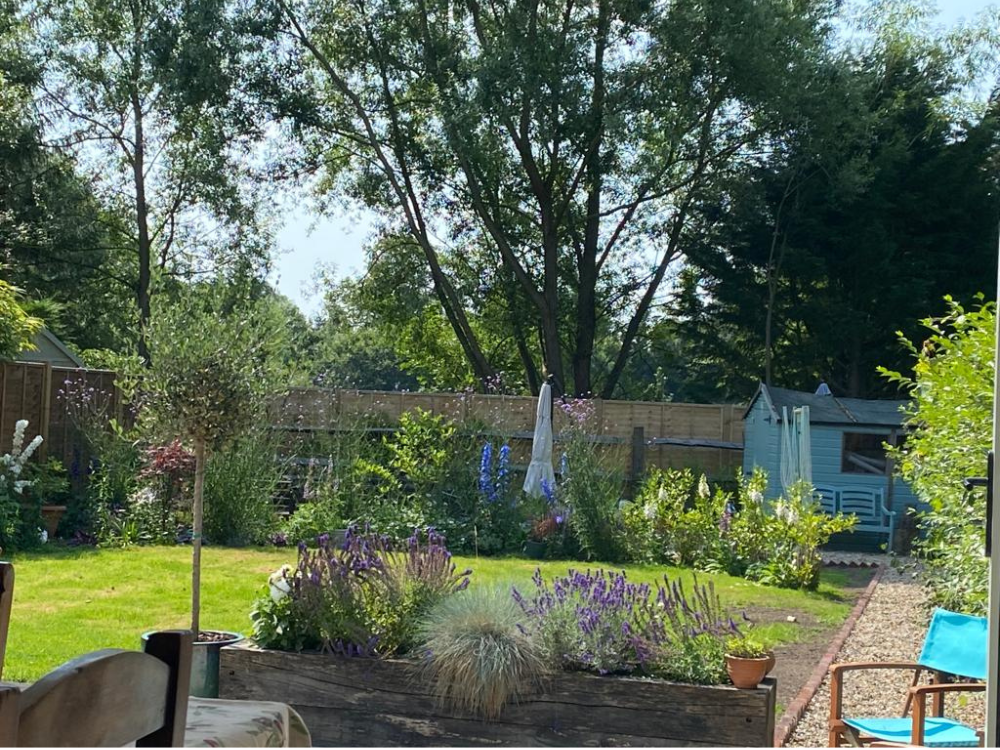 Natural flower garden