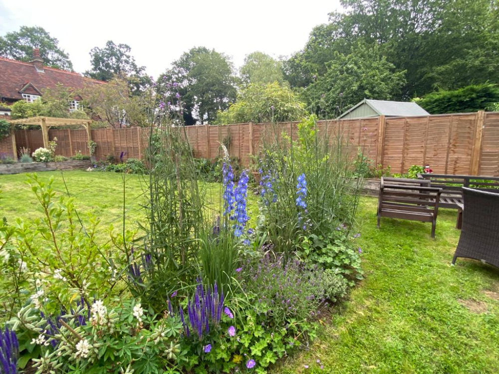 Natural flower garden