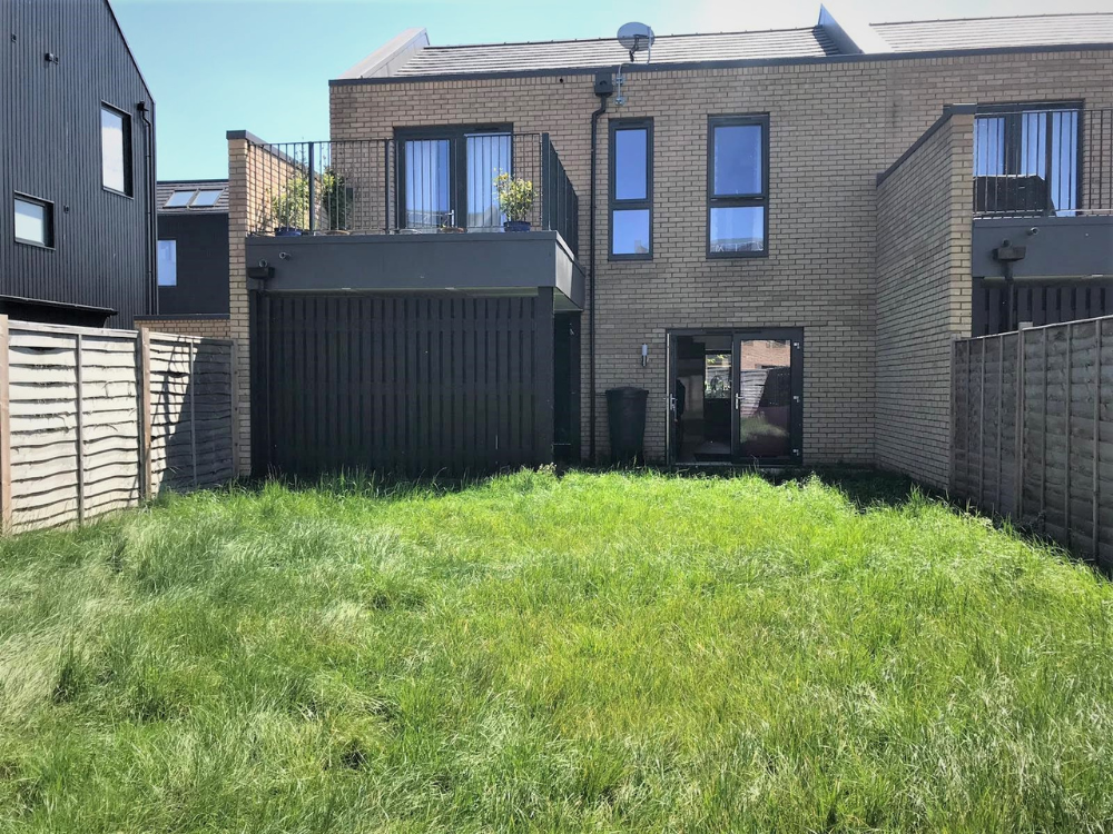 butterfly friendly city garden