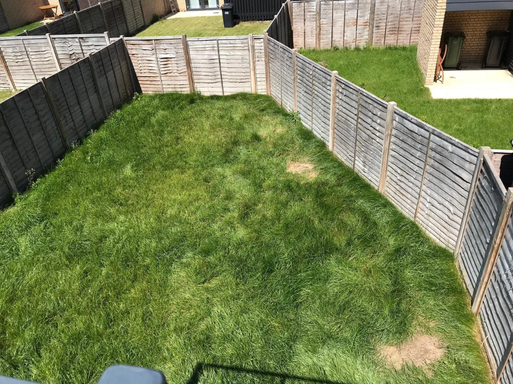 butterfly friendly city garden