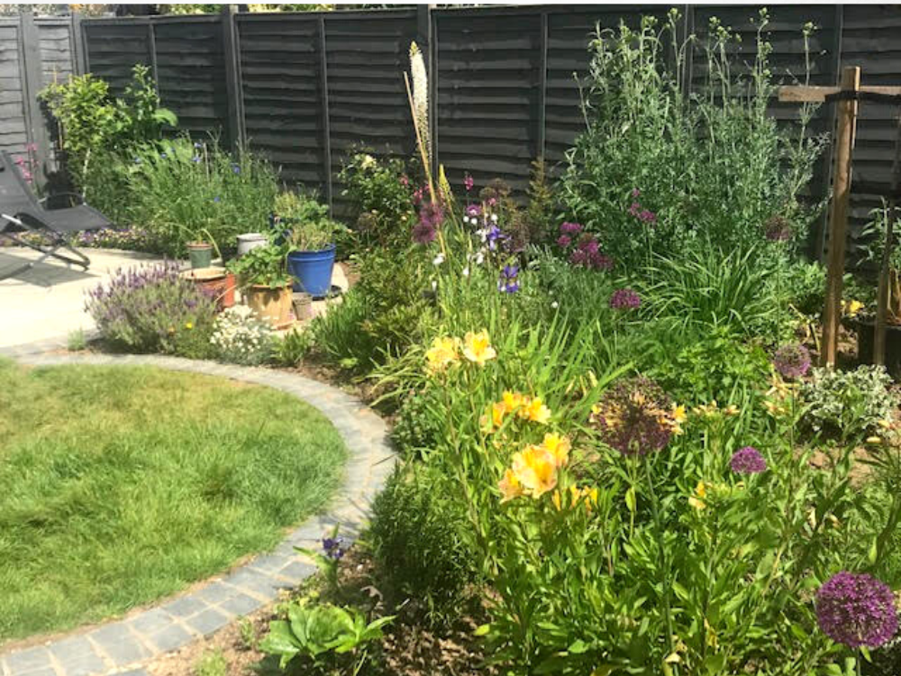 butterfly friendly city garden