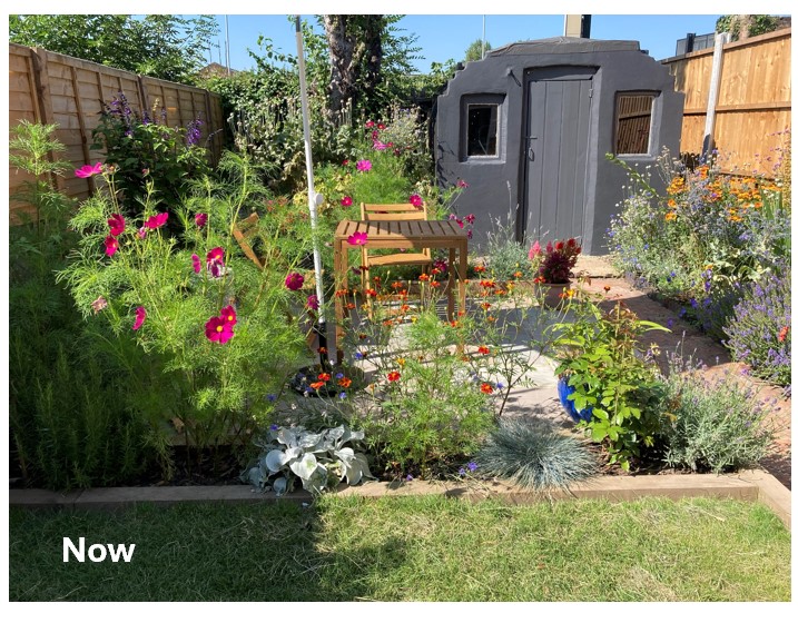 Garden consultation after