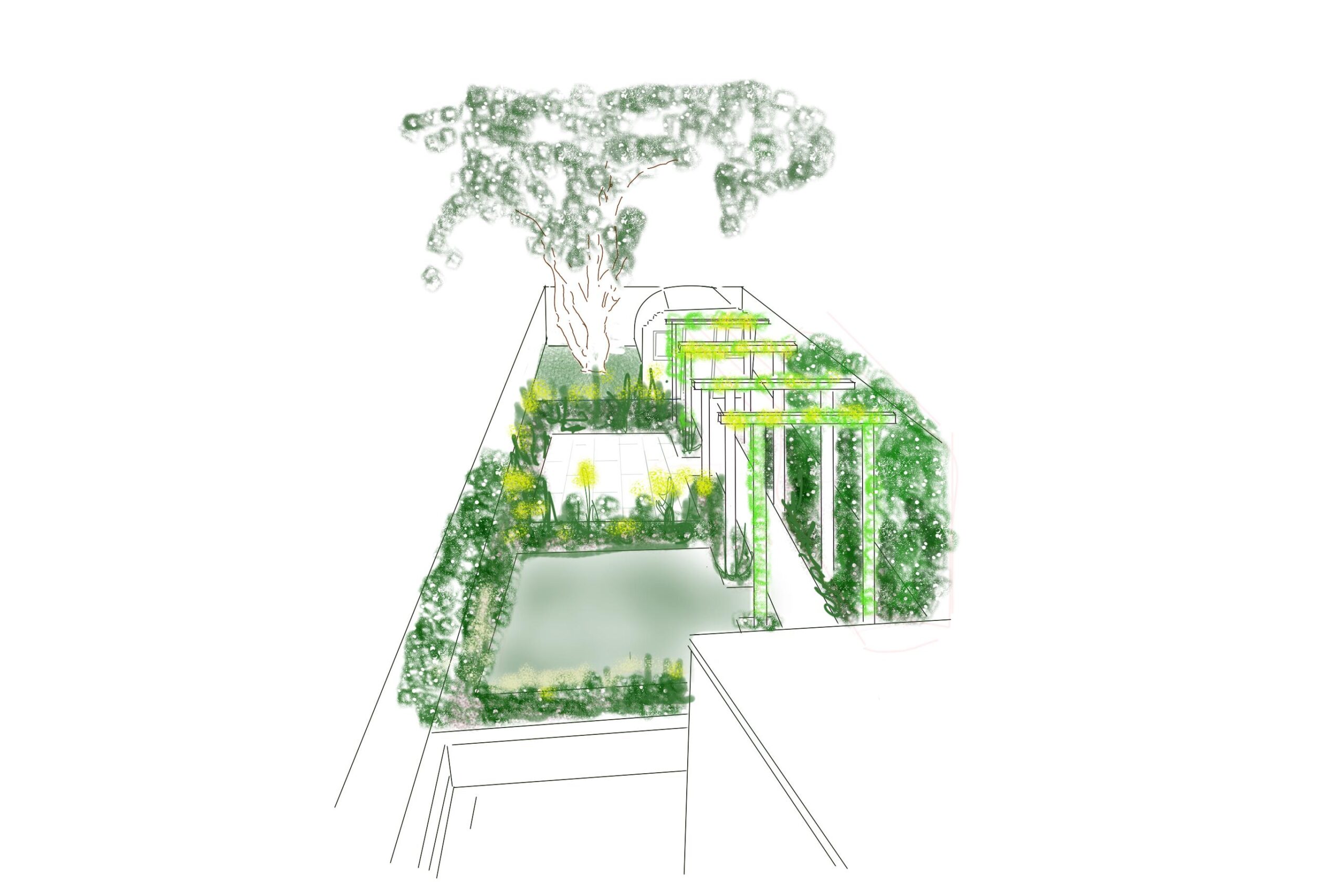 Garden Consultation sketch