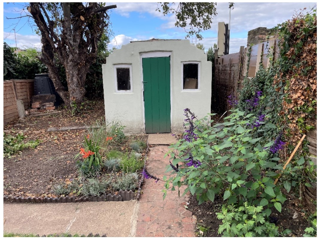 Garden Consultation before - hide the ugly shed
