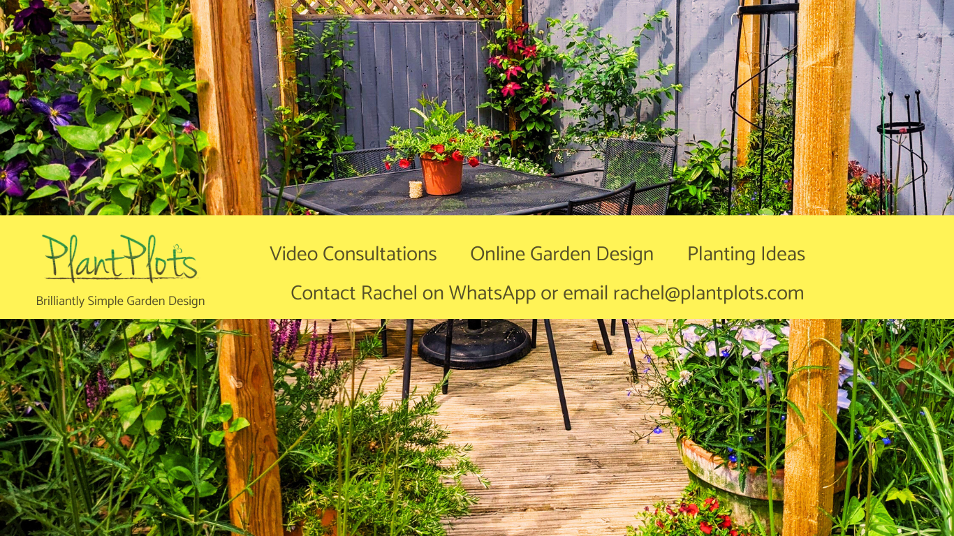 Book your free initial call Book your free initial call - Online Garden Design and Video Consultation by PlantPlots