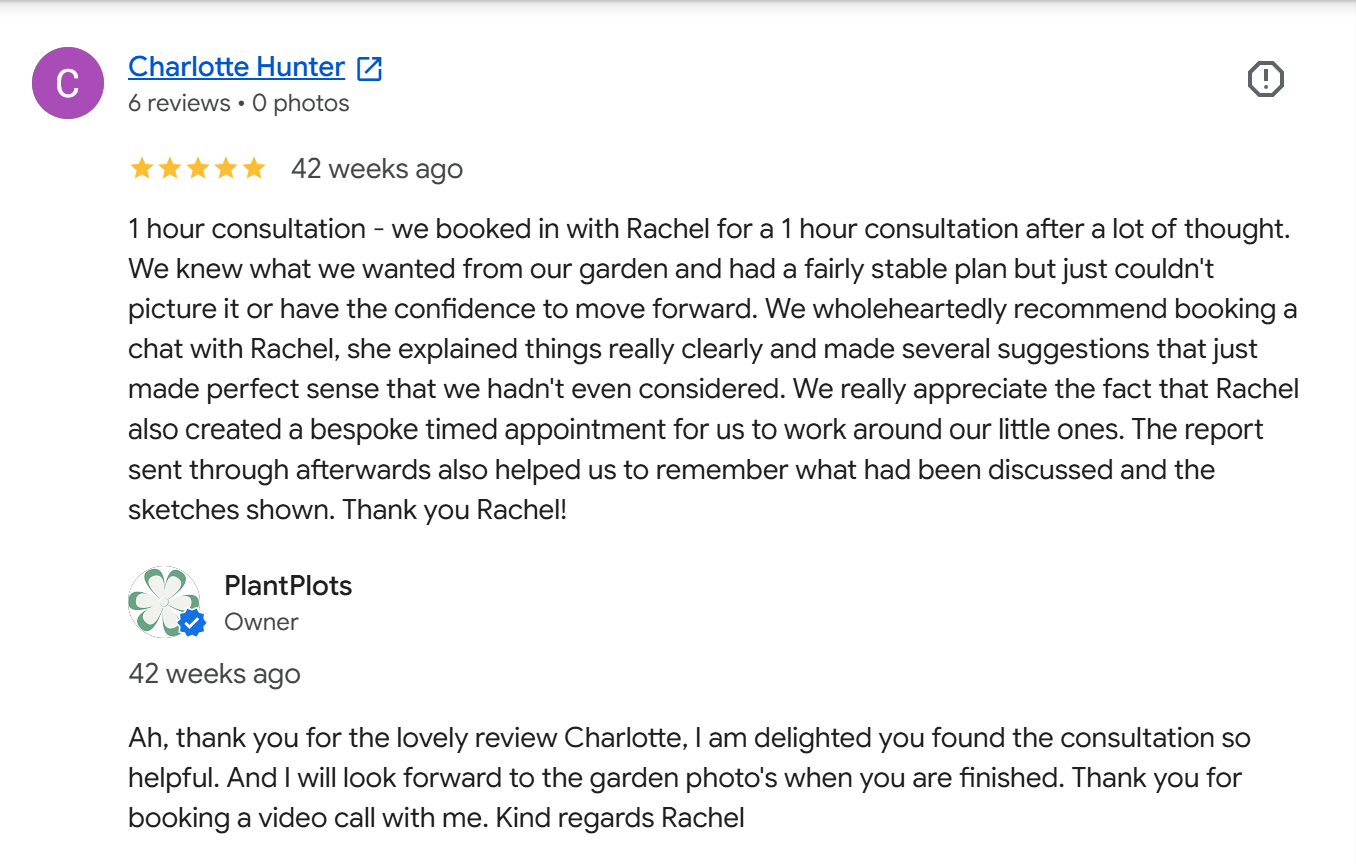 Five-star Google customer review screenshot praising Rachel from PlantPlots for a helpful, inspiring backyard garden video consultation layout example 1